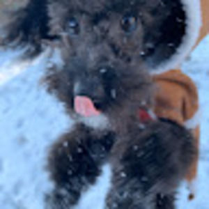 Meet your Posher, Marcus